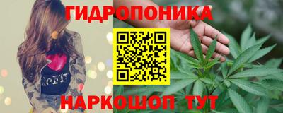 мяу мяу мука Пыть-Ях