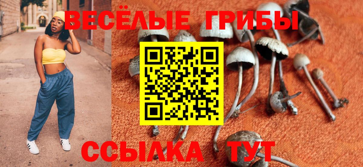 Псилоцибиновые грибы MAGIC MUSHROOMS Алексеевка