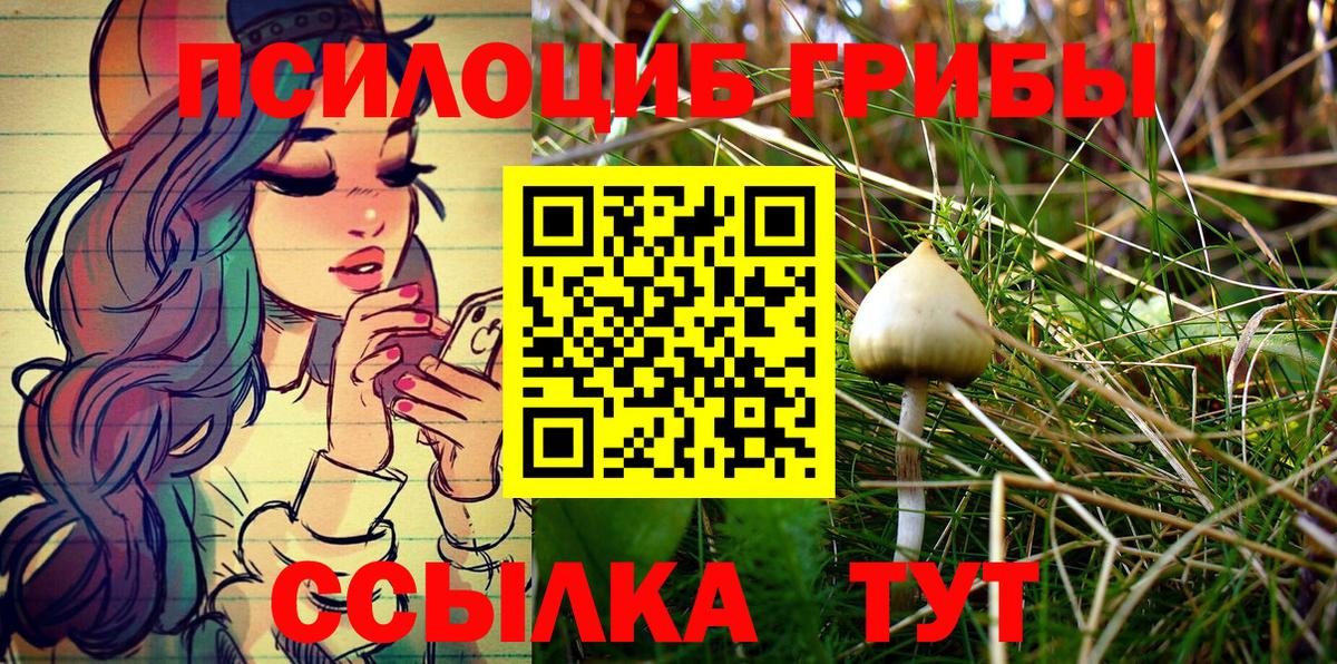 Алексеевка  Псилоцибиновые грибы мицелий  Вход с VPN 